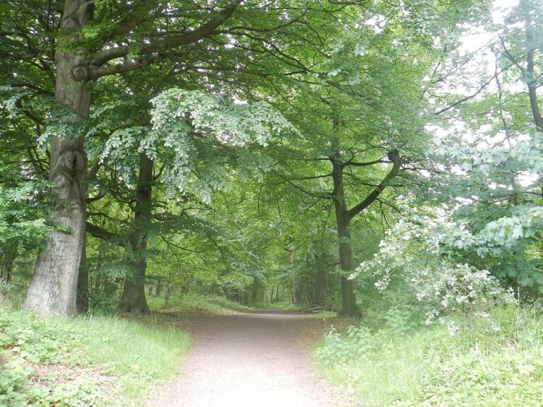 Op Adem — natuur in Kampen