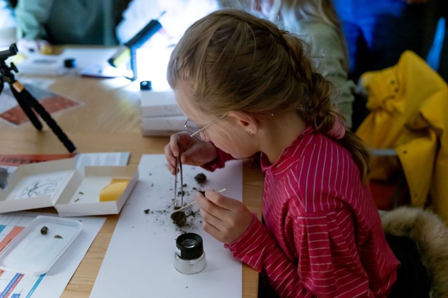 Nacht van de Nacht 2026 – festival voor de hele familie! in Kampen