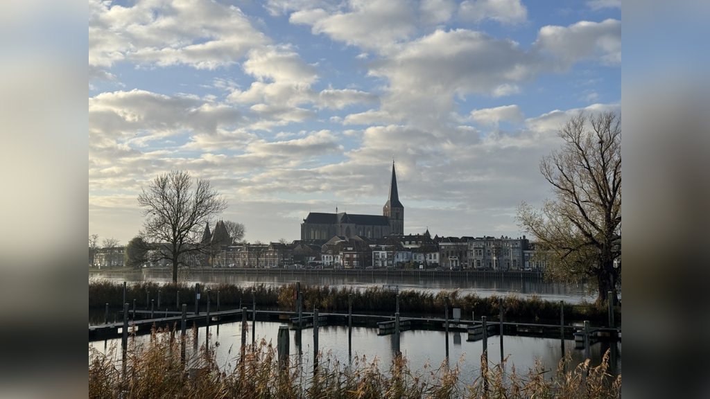 Avercamp door stadgenoten in Kampen