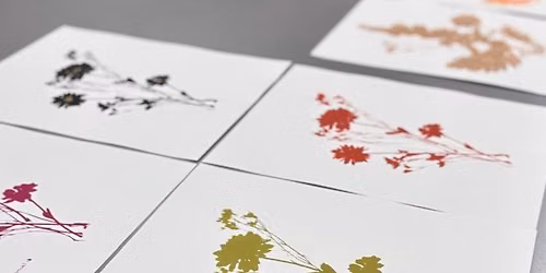 Workshop Zeefdruk met Winterbloemen — open-dag in Kampen